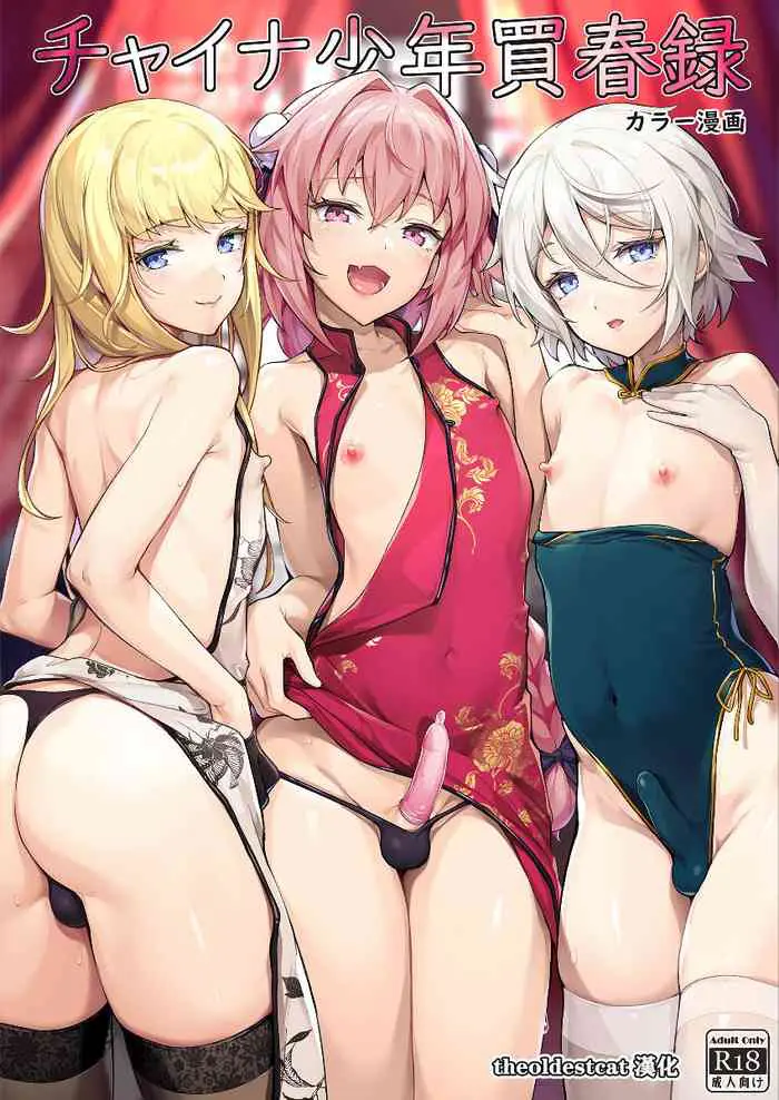 中国少年卖淫记录 (Fate/Grand Order)