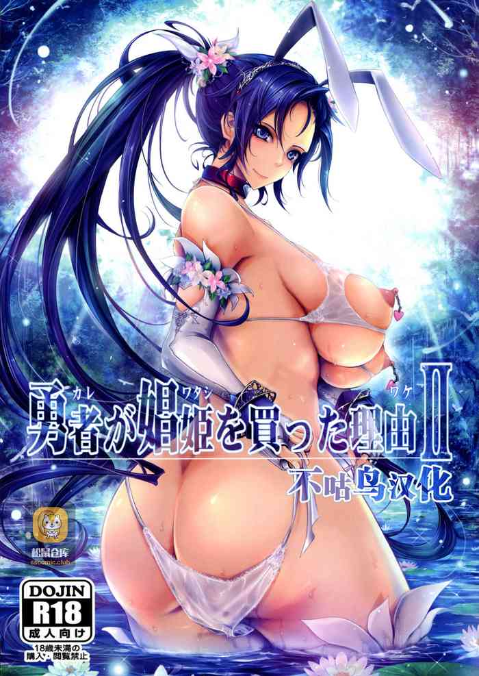 (C95) [Garyuh-Chitai (TANA)] Kare ga Watashi o Katta Wake II (Dragon Quest XI)