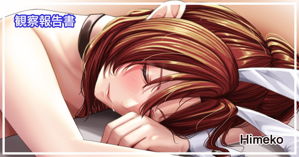 [天霧三木] 観察報告書-姫子バニーガール【中文翻译】