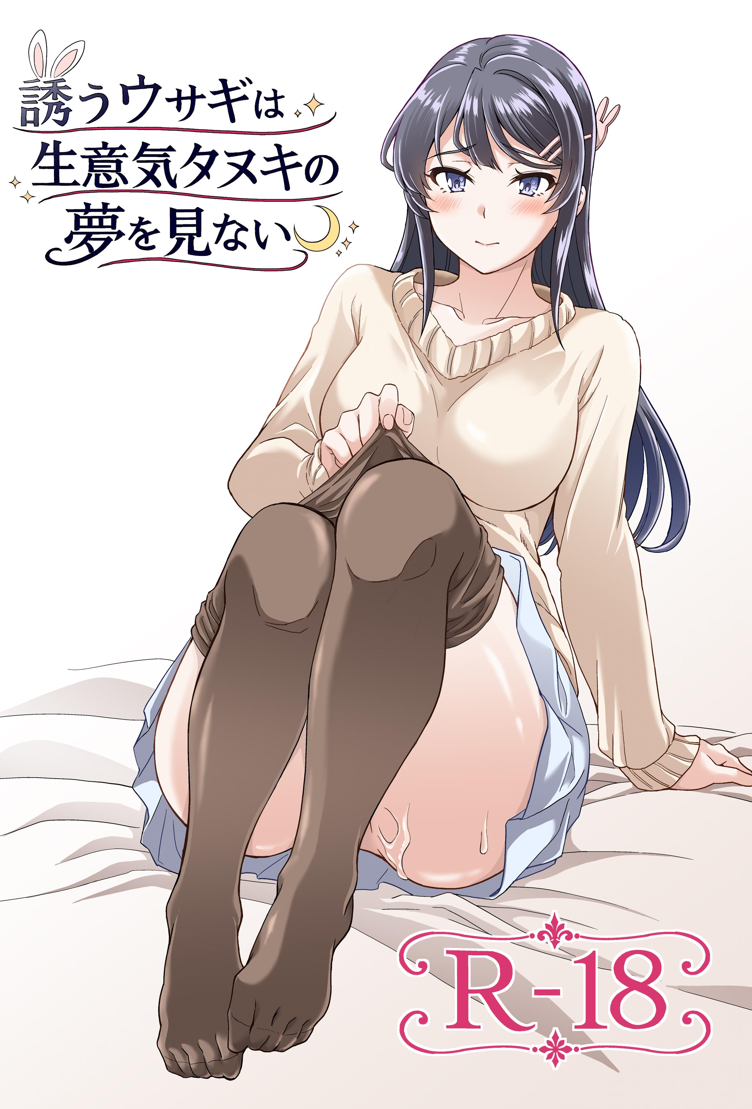 [鳩血 (麻生シン)] 誘うウサギは生意気タヌキの夢を見ない (青春ブタ野郎はバニーガール先輩の夢を見ない)