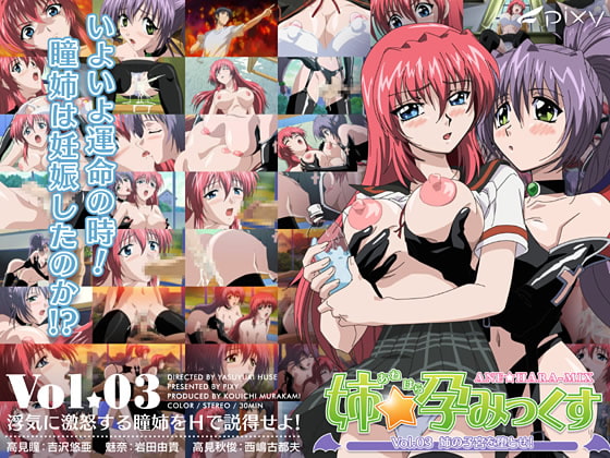 姉☆孕みっくすVol.03姉の子宮を堕とせ![中文字幕]|姉☆孕みっくす Vol.03 姉の子宮を堕とせ![中文字幕]