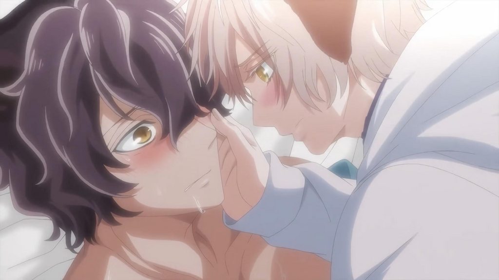 森林裡的熊先生，冬眠中。 1