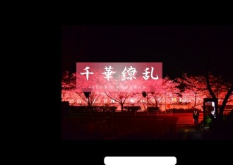 fc2-ppv-3166039 FC2-PPV-3166039 【전설의 미녀 다시 ..Ⅱ】 맑은 건너는 공기와 최고의 미녀 다시. 충격의 3P를 봐 주세요. 사쿠라 18세