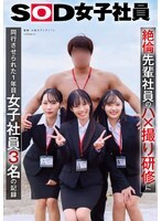 SDJS-387 절륜 선배 사원의 하 × 촬영 연수에 동행시킨 1년째 여자 사원 3명의 기록 - 茅平心色