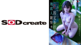 senn-048 SENN-048 四足歩行の地底人観察カルテ 安堂はるの