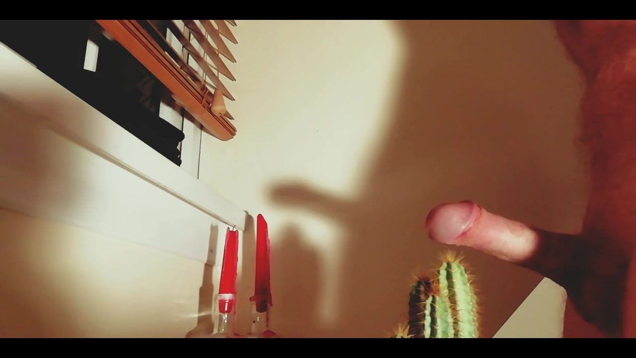 Stay Hard Challenge - Cactus! Big Cock Kink - Free Porn Videos - ThumbzillaGay