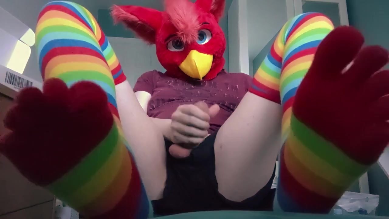 Fursuit Teasing with cute rainbow socks, stripping, and cumming inside condom - Free Porn Videos - ThumbzillaGay